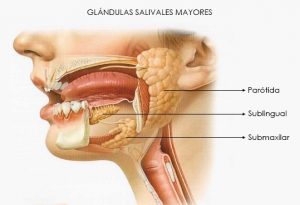 síntomas del cáncer de glándulas salivales